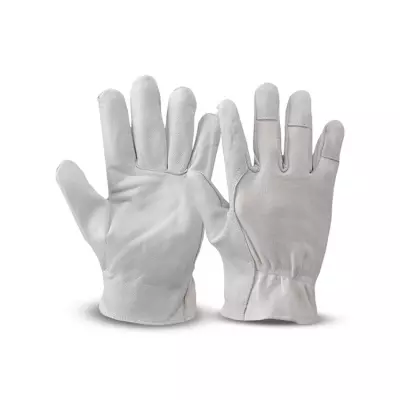 Cotton-backed lambskin gloves